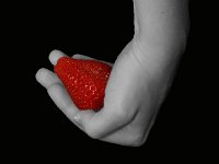IMG 1612 Straberry in Hand copy