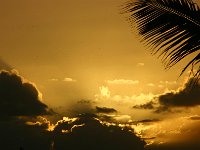IMG 8739 Golden Sunset  Honolulu