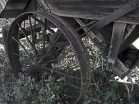 IMG 4420 r1