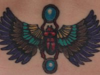 IMG 0477 Wings